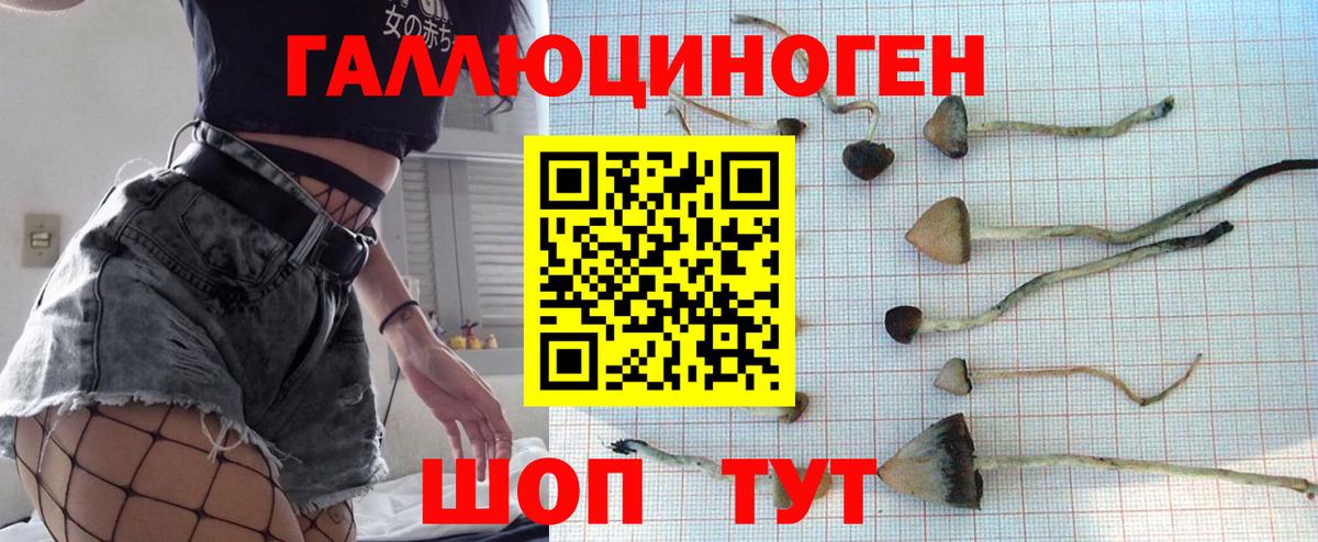 Псилоцибиновые грибы Psilocybine cubensis  купить наркотики сайты  Когалым  Вход с VPN  Псилоцибиновые грибы Cubensis 